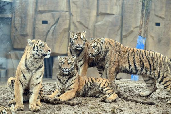 6200a8b0a310cdd3d82becd7