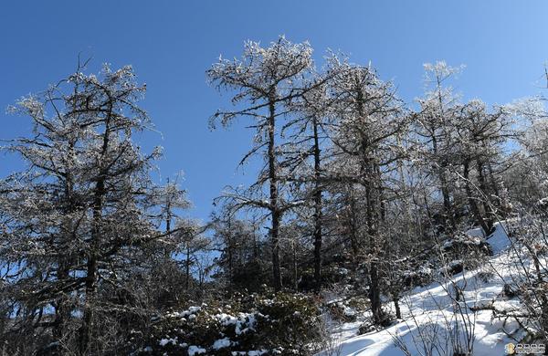 e8356677-3f85-4ce0-88dd-442af6188333_batchwm e8356677-3f85-4ce0-88dd-442af6188333_batchwm