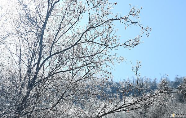 ef908761-352d-4c69-abbd-00289c2bc3bd_batchwm ef908761-352d-4c69-abbd-00289c2bc3bd_batchwm