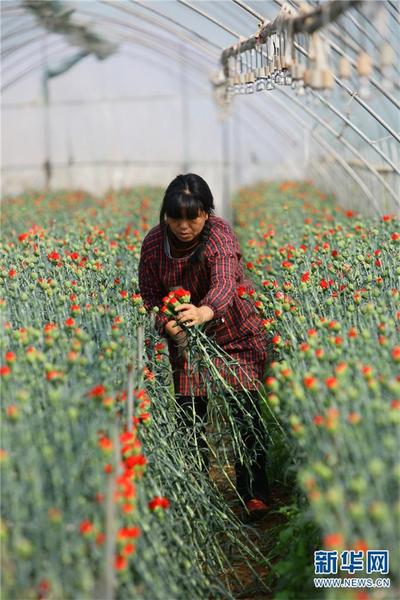 1310475125_16451934182711n