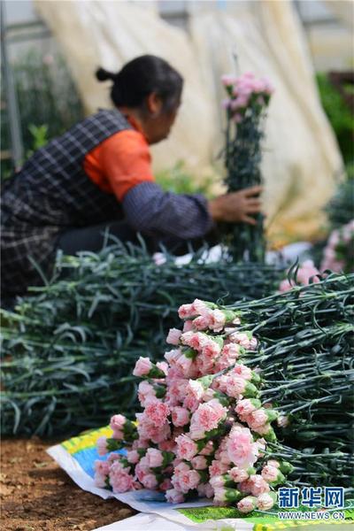 1310475125_16451934185191n