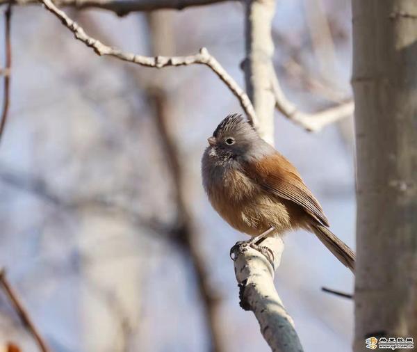 c66c2612-e0aa-4acd-9769-f55908aafc59_batchwm