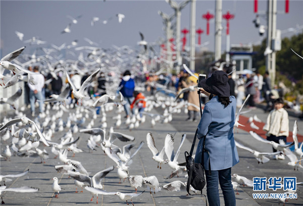 1310486805_16457453288061n