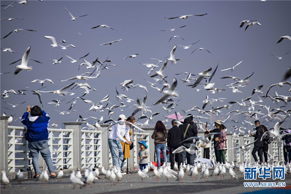 1310486805_16457453288581n