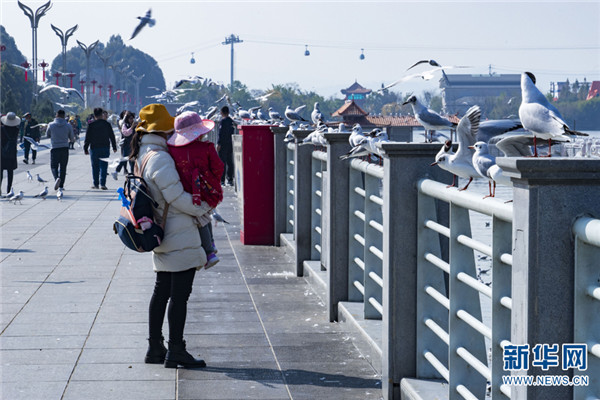 1310486805_16457453285431n