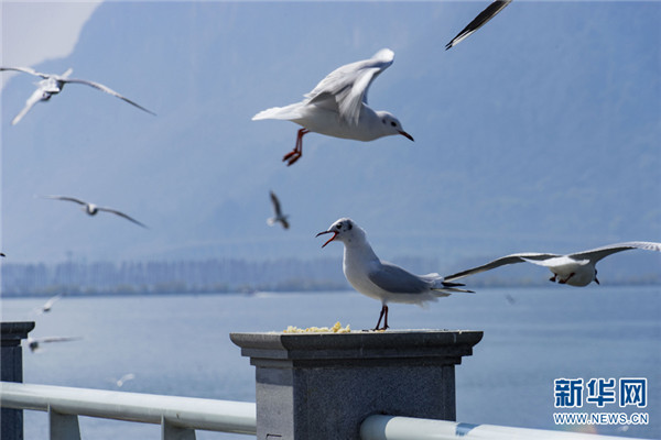 1310486805_16457453285991n