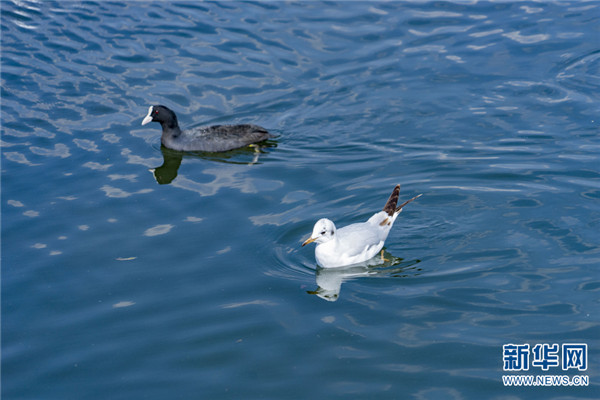 1310486805_16457453286471n