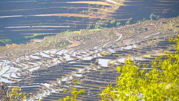 梯田春耕忙 风景美如画。绿春县融媒体中心供图(76).jpg_x-oss-process_style_w10 梯田春耕忙 风景美如画。绿春县融媒体中心供图(76).jpg_x-oss-process_style_w10