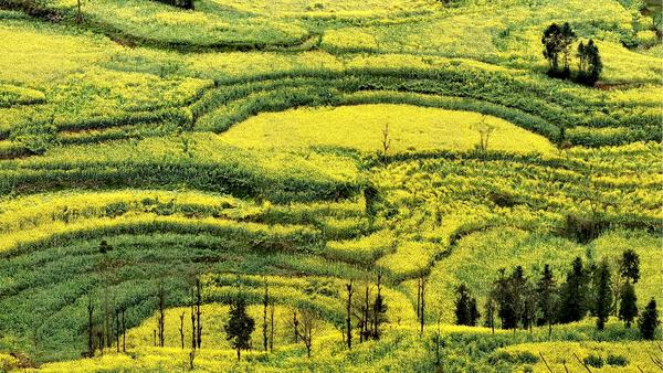 4b3c737d8ee54349a8f01760dadcea25 4b3c737d8ee54349a8f01760dadcea25