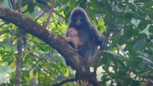 微信图片_20220304180652