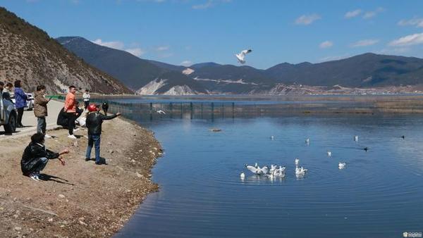 998864_670x670 998864_670x670