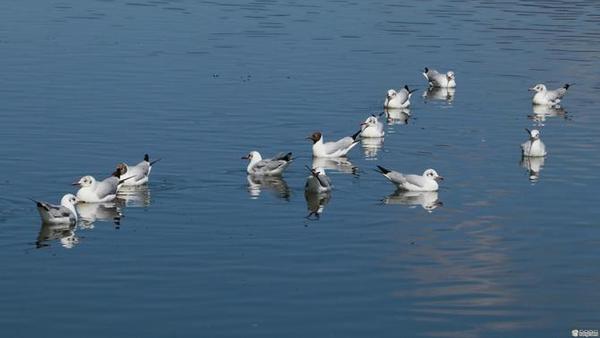 998863_670x670 998863_670x670