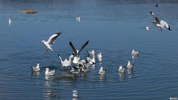 998861_670x670 998861_670x670