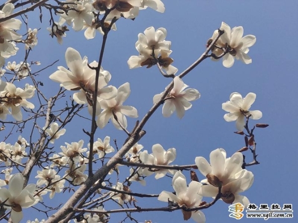 1008957_670x670 1008957_670x670