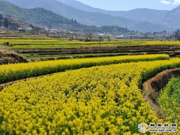 1008958_670x670 1008958_670x670