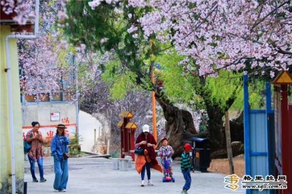 1008962_670x670 1008962_670x670