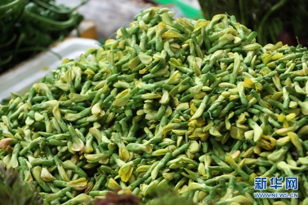 1310527846_16481137304981n 1310527846_16481137304981n