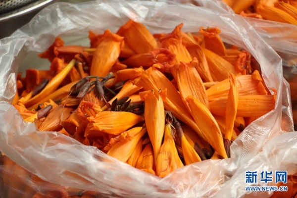 1310527846_16481137306301n 1310527846_16481137306301n