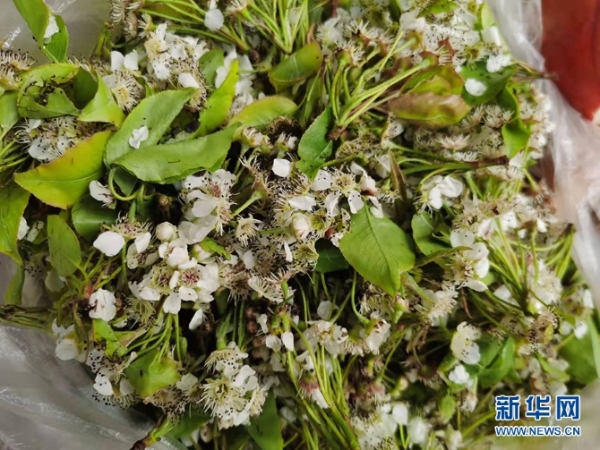 1310527846_16481137310971n 1310527846_16481137310971n