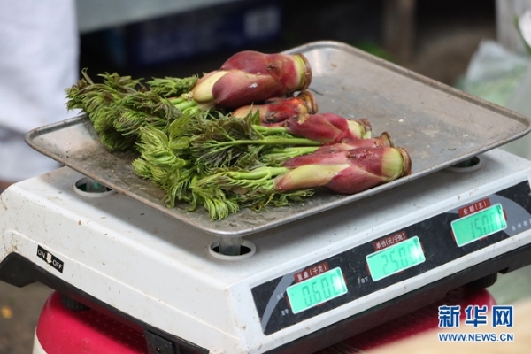 1310527846_16481137315211n 1310527846_16481137315211n