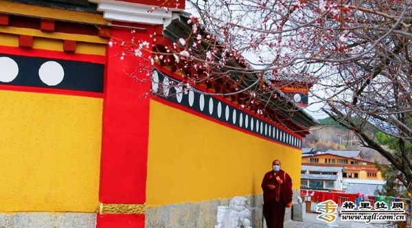 45bb2e27-dc92-4a86-a665-6ecea3ce9289_batchwm