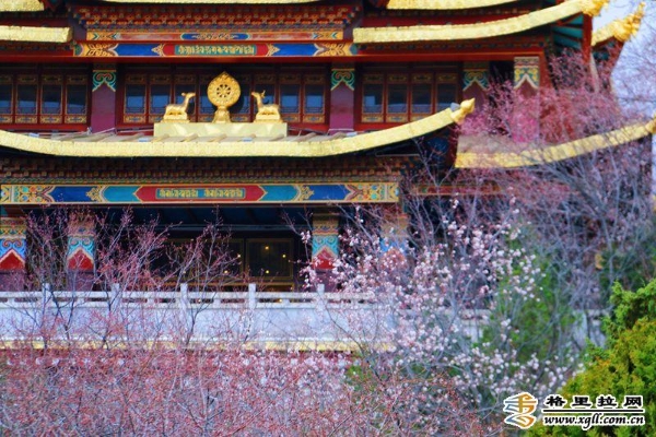 437ef953-e0fe-4034-a8e5-ceb80a54e872_watermark