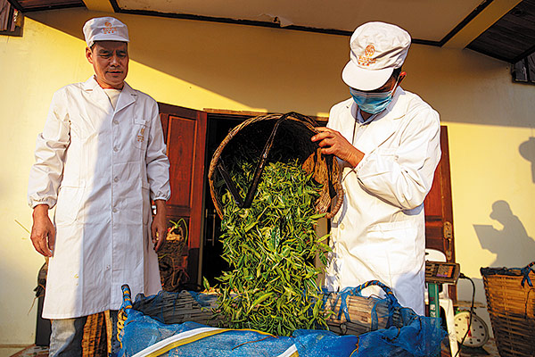 6254d1b7a310fd2bec8246e5 6254d1b7a310fd2bec8246e5