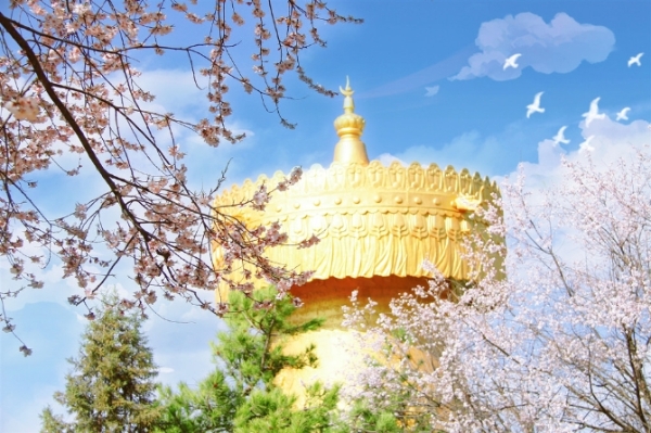 1034785_670x670 1034785_670x670