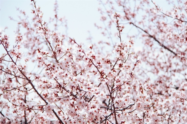 1034786_670x670 1034786_670x670