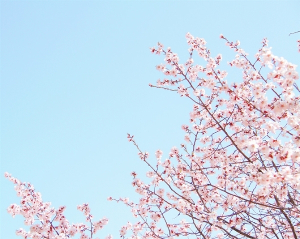 1034795_670x670 1034795_670x670