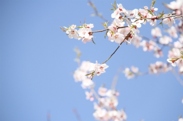 1034798_670x670 1034798_670x670