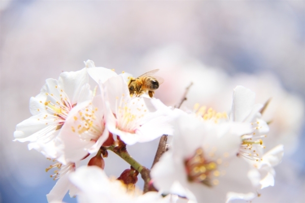 1034800_670x670 1034800_670x670