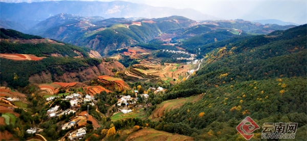 00304729958_f3afa310 00304729958_f3afa310