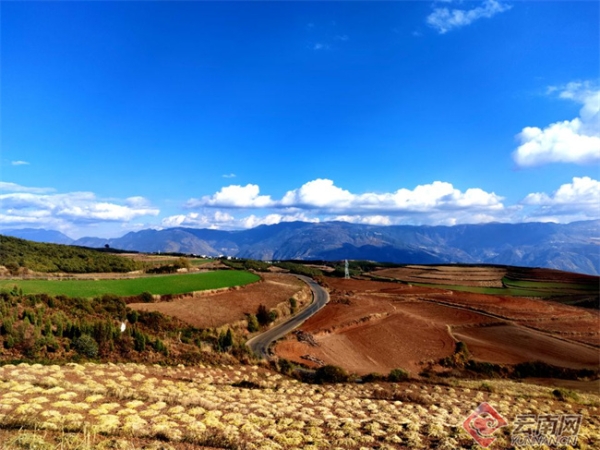 00304729959_ffb72e44 00304729959_ffb72e44