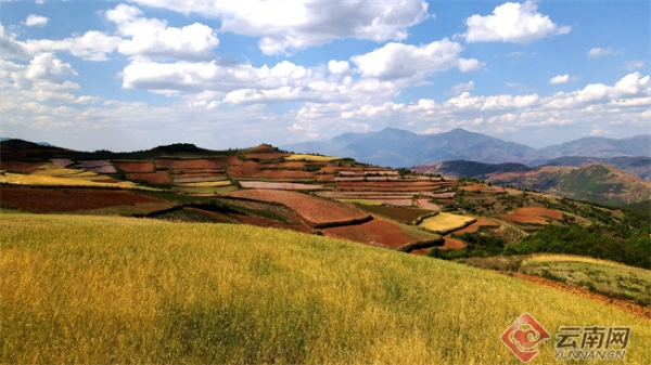 00304729960_03947e8f 00304729960_03947e8f