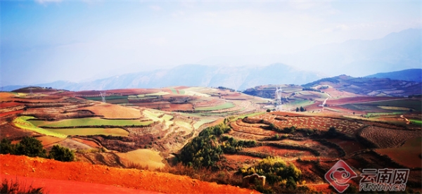 00304729964_6848f7d2 00304729964_6848f7d2