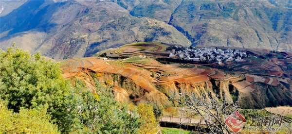 00304729965_4b04918b 00304729965_4b04918b