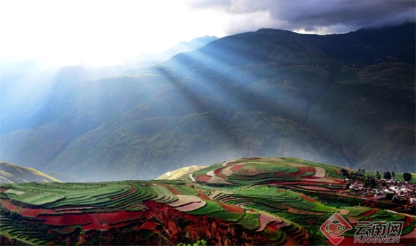 00304730061_d62d2204 00304730061_d62d2204