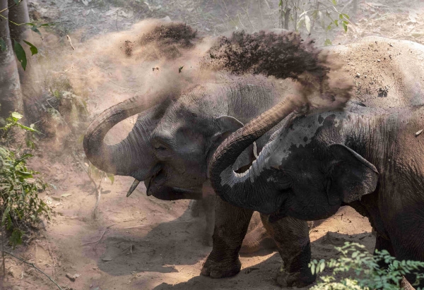 6286efcda310fd2bec8a22b7 6286efcda310fd2bec8a22b7