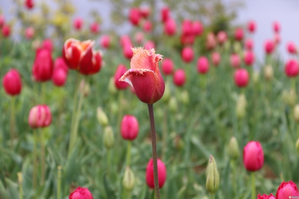 53f2fb5b-9095-4420-969b-5d30b6213178_batchwm 53f2fb5b-9095-4420-969b-5d30b6213178_batchwm