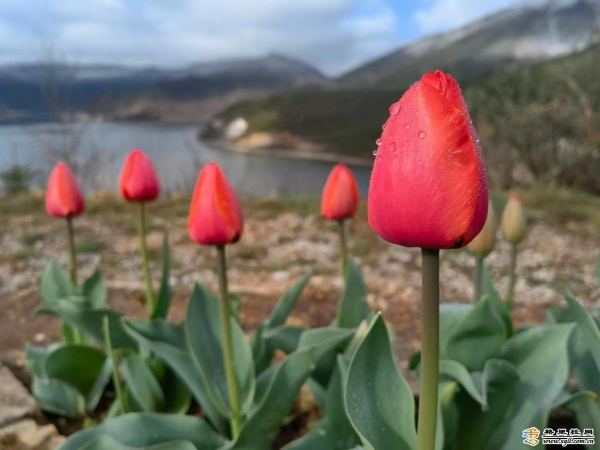 79ff9f04-bf73-4de5-bc05-fcfab192b32f_batchwm 79ff9f04-bf73-4de5-bc05-fcfab192b32f_batchwm