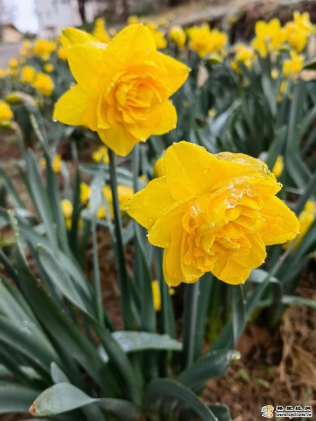 3719ef9d-2b21-4fa6-8e56-7a9ddc8a3e17_batchwm 3719ef9d-2b21-4fa6-8e56-7a9ddc8a3e17_batchwm