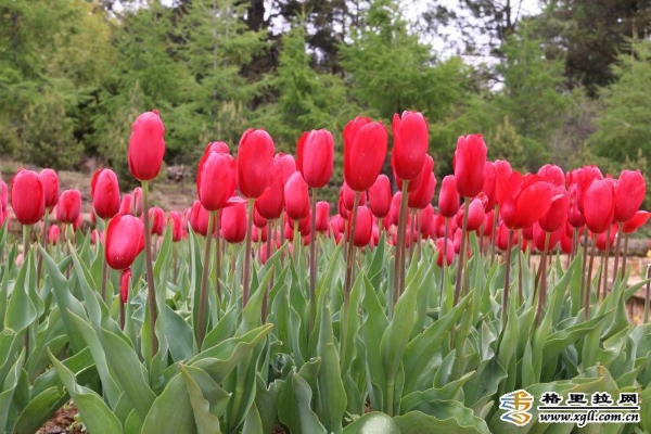 d334186f-a9e4-4da5-bda9-440c121b0845_batchwm d334186f-a9e4-4da5-bda9-440c121b0845_batchwm