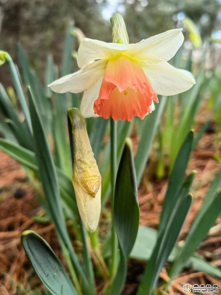 ee74018e-53e9-4f09-af79-cdc049b77118_batchwm ee74018e-53e9-4f09-af79-cdc049b77118_batchwm