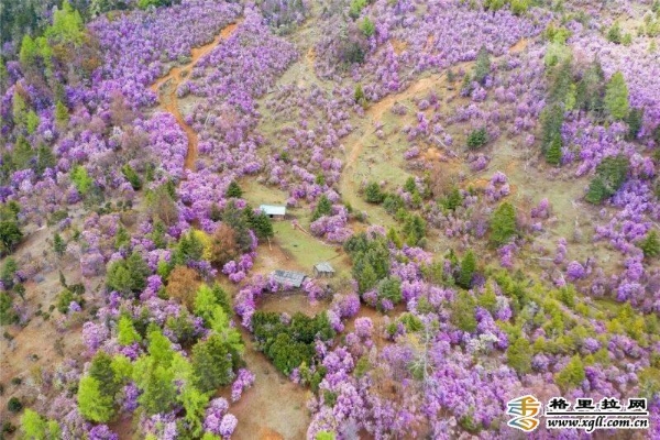 84260016-e277-4a87-ba7e-430f26d649bf_batchwm