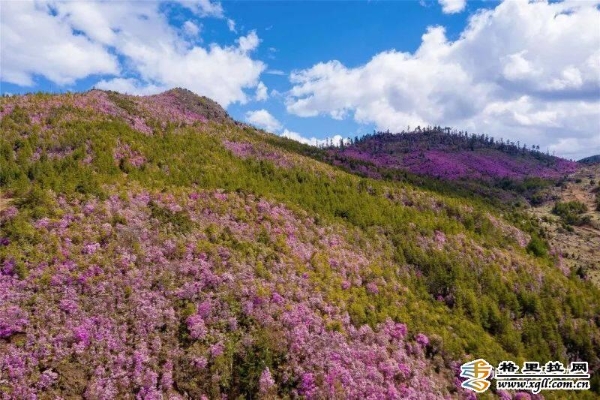 c2dd5aa1-154e-42dc-879d-5825c4005ce7_batchwm