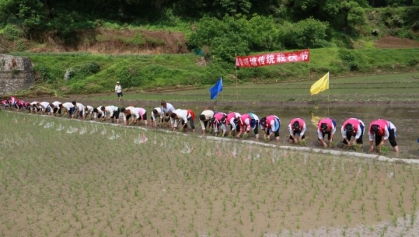 22b8e0c1-cb70-4ac9-ba33-51a06e794859