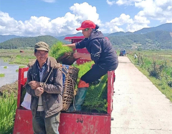 419a77ce-0da7-47a4-be84-8b45ac26d4fd