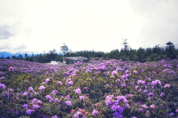 1075363_670x670 1075363_670x670