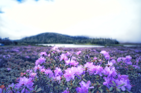 1075364_670x670 1075364_670x670